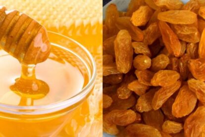 Health Care Tips | सकाळी रिकाम्या पोटी मध आणि मनुका खाल्ल्याने मिळतात 'हे' जबरदस्त फायदे