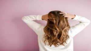 Hair Care | केस गळती थांबवण्यासाठी आवळ्याचा 'या' पद्धतीने करा वापर Skin Care Tips