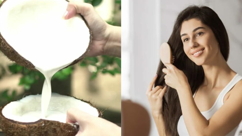 Coconut Milk | केसांची काळजी घेण्यासाठी कोकोनट मिल्कचा 'या' पद्धतीने करा वापर