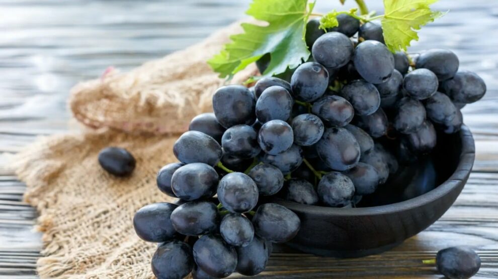 Black Grapes Benefits | काळी द्राक्ष खाल्याने मिळतात 'हे' आरोग्यदायी फायदे