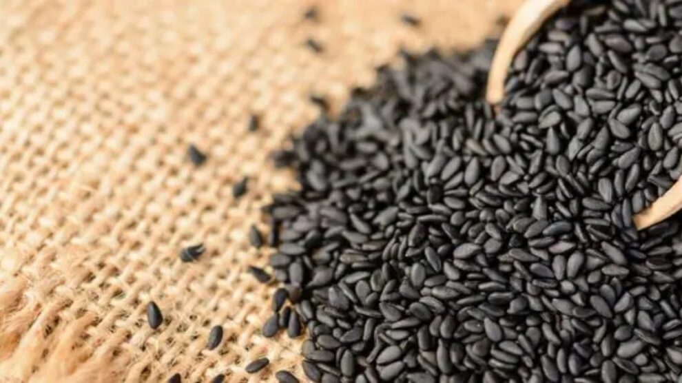 Black Sesame Benefits | काळ्या तिळाचे सेवन केल्याने शरीराला मिळतात 'हे' जबरदस्त फायदे
