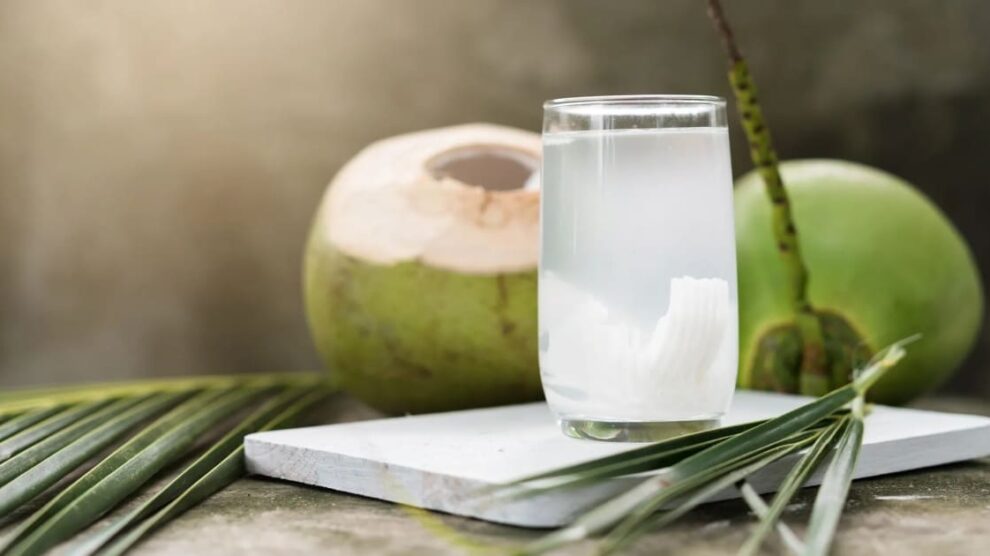 Coconut Water | दररोज नारळ पाणी प्यायल्याने आरोग्याला भोगावे लागू शकतात 'हे' दुष्परिणाम