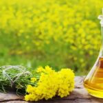 Mustard Oil | केसांना मोहरीचे तेल लावल्याने मिळतात 'हे' अनोखे फायदे