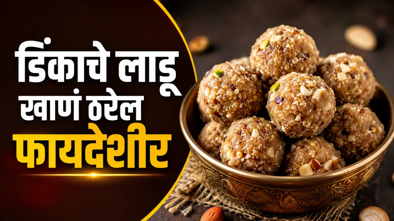 Dink Ladoo Benefits - एका वाटीत ठेवलेले पौष्टिक डिंकाचे लाडू