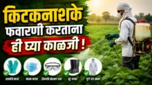 Pesticide Spraying Safety: Farmer spraying pesticides in field with protective gear.