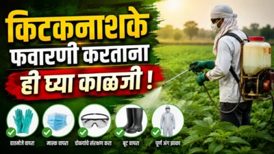 किटकनाशके फवारणी करताना ही घ्या काळजी ! Brinjal farming Pesticide spraying safety: farmer spraying pesticides in field with protective gear.