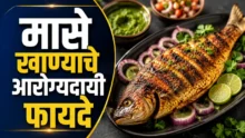 Fish eating benefits: आठवड्यातून ३ वेळा मासे खाण्याचे आरोग्यदायी फायदे