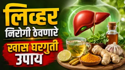 लिव्हर डॅमेज होण्यापूर्वी व्हा सावध: आठवडाभरात तंदुरुस्त करणारे हे घरगुती उपाय पाहा brinjal farming Liver health tips: healthy human liver illustration with fresh vegetables and home remedies.