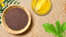 Mustard Oil